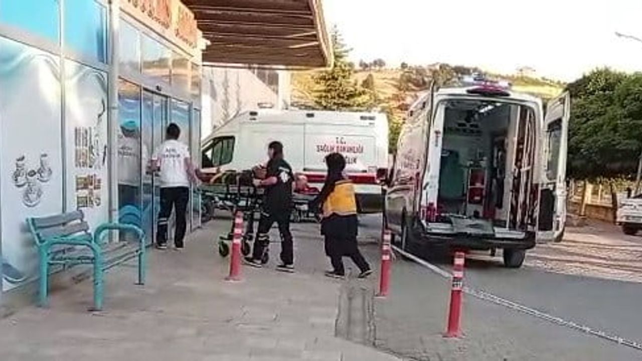 Çağlayancerit'te ceviz ağacına çıkan kişi düşerek ağır yaralandı