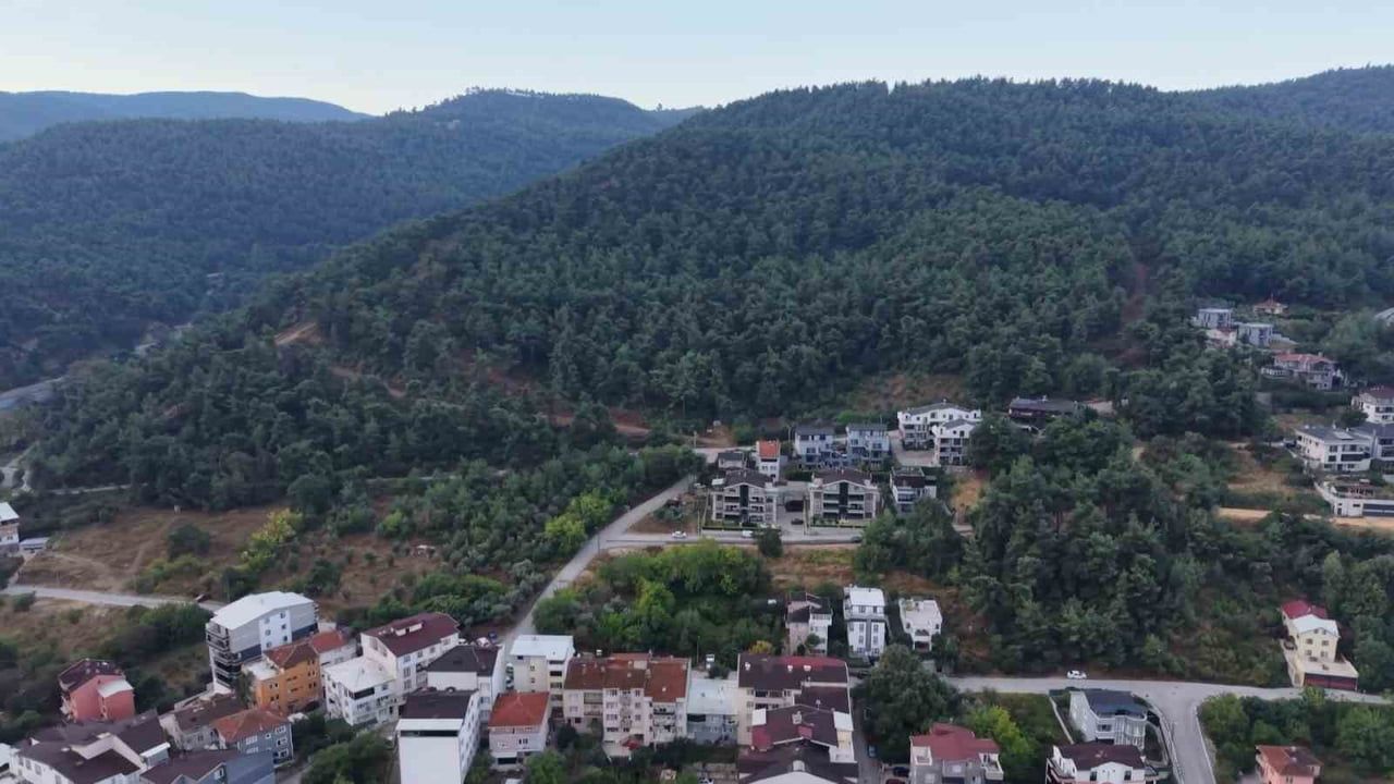 Çalı Mahallesi'nde orman kenarına inen üç ayı mahallede tedirginlik yarattı