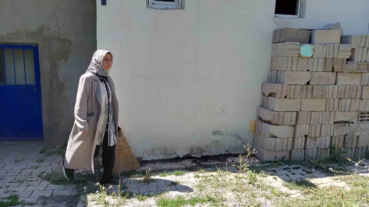Camide tekmelenen kedi için arama sürüyor: şüpheli gözaltında