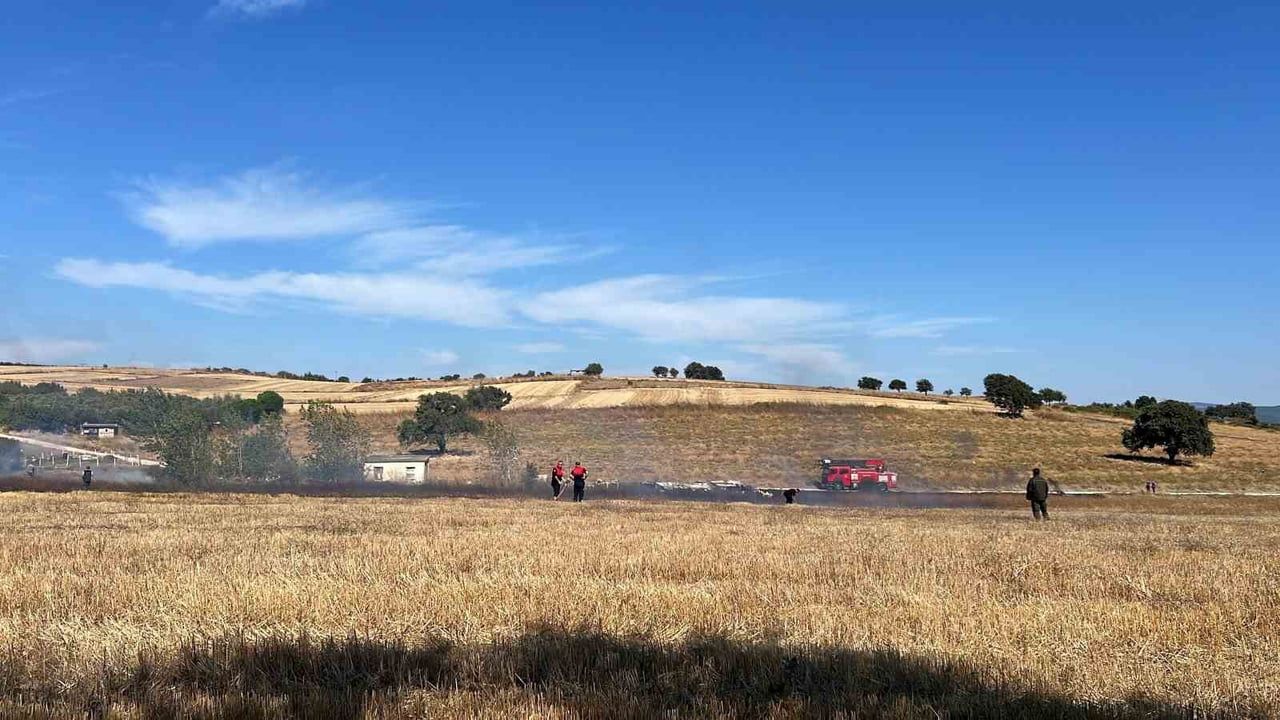 Çanakkale'de bakım merkezi yakınında çıkan ot yangını ekiplerin müdahalesiyle söndürüldü