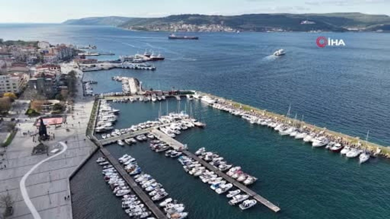 Çanakkale'de mavi denizanalarının artışı: yüzme güvenliği ve ekosistem etkileri