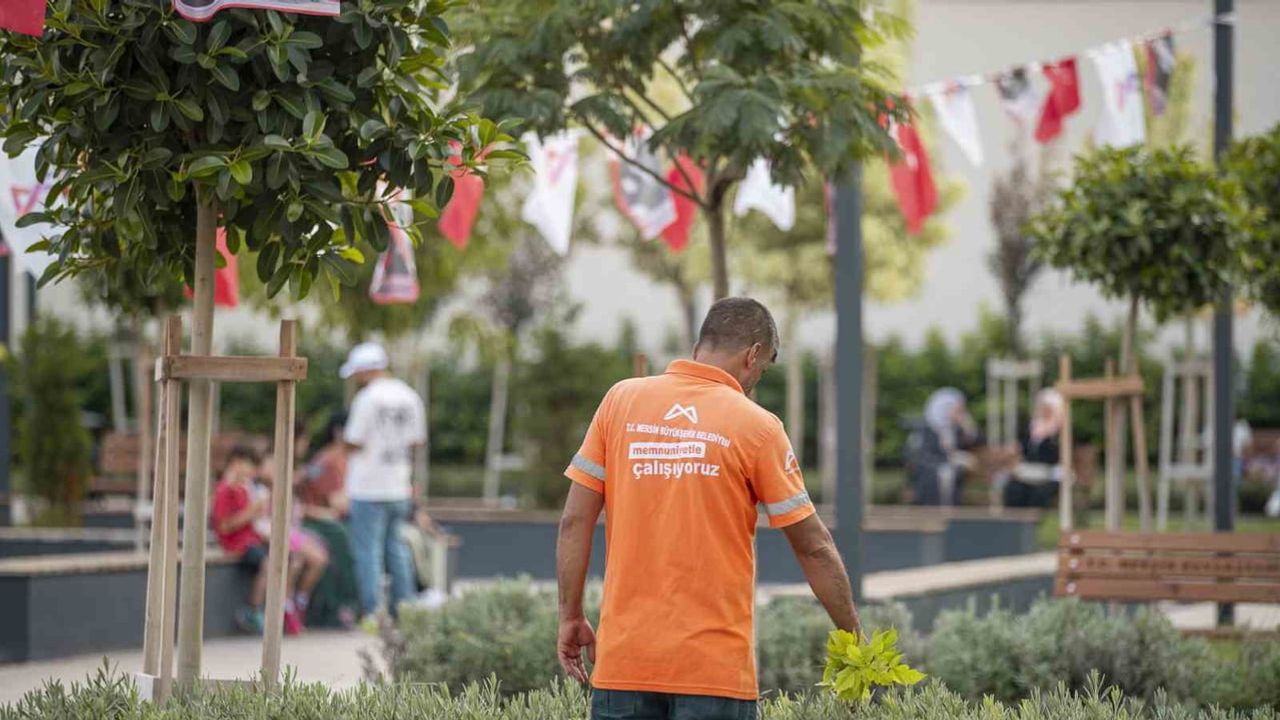 Çarşıda taş dokusuna yeşil molası: Kırmızı Lacivert Kent Meydanı hizmete açıldı