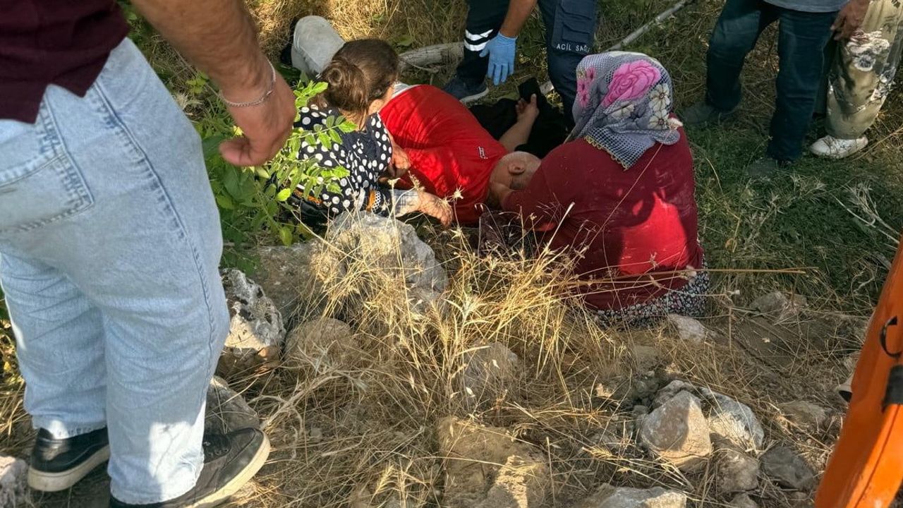 Ceviz toplarken dengesini kaybetti: üç metre yükseklikten düşen kişi yaralandı