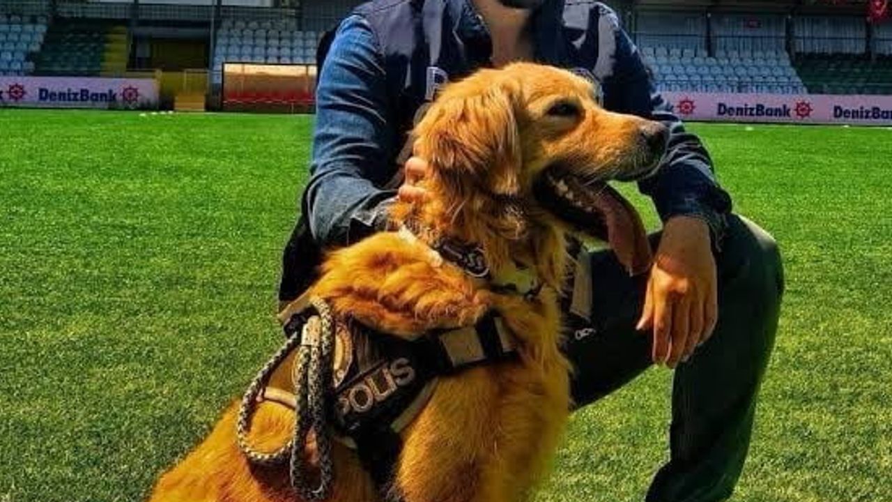 Cezaevinde kanser tedavisi gören şüpheli hastanede yaşamını yitirdi