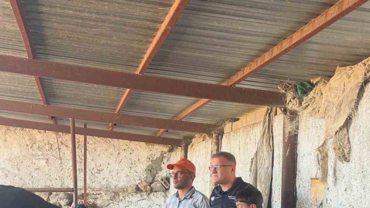 Çiftçinin üretimini güvence altına alan aı kampanyası Bor'da sürdü