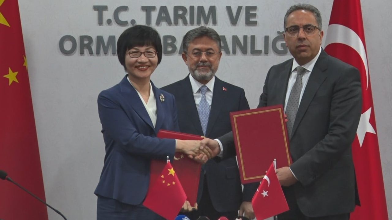 Çin kapıları defne yaprağına açıldı: Türkiye yıllık 60 milyon dolara odaklandı