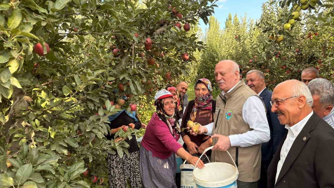 Çivril’de elma bahçelerinde üreticilerle omuz omuza hasat