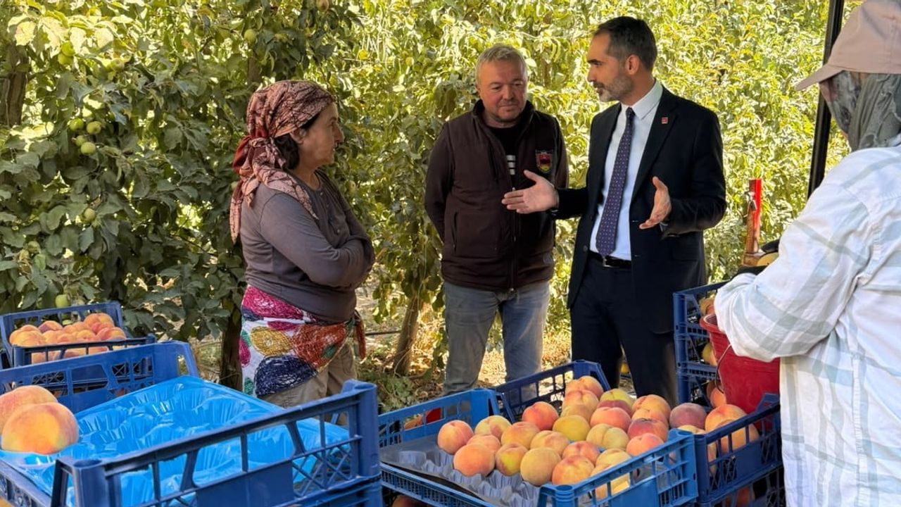 Çivril’de şeftali üreticileri artan maliyetlerle üretimi sürdürmenin yolunu arıyor