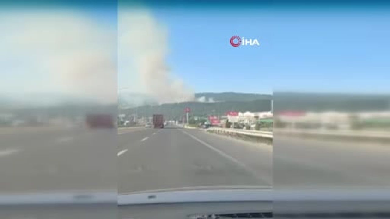 Çöplükte başlayan yangın rüzgarla büyüyerek Hamidiye meşeliklerini tehdit etti