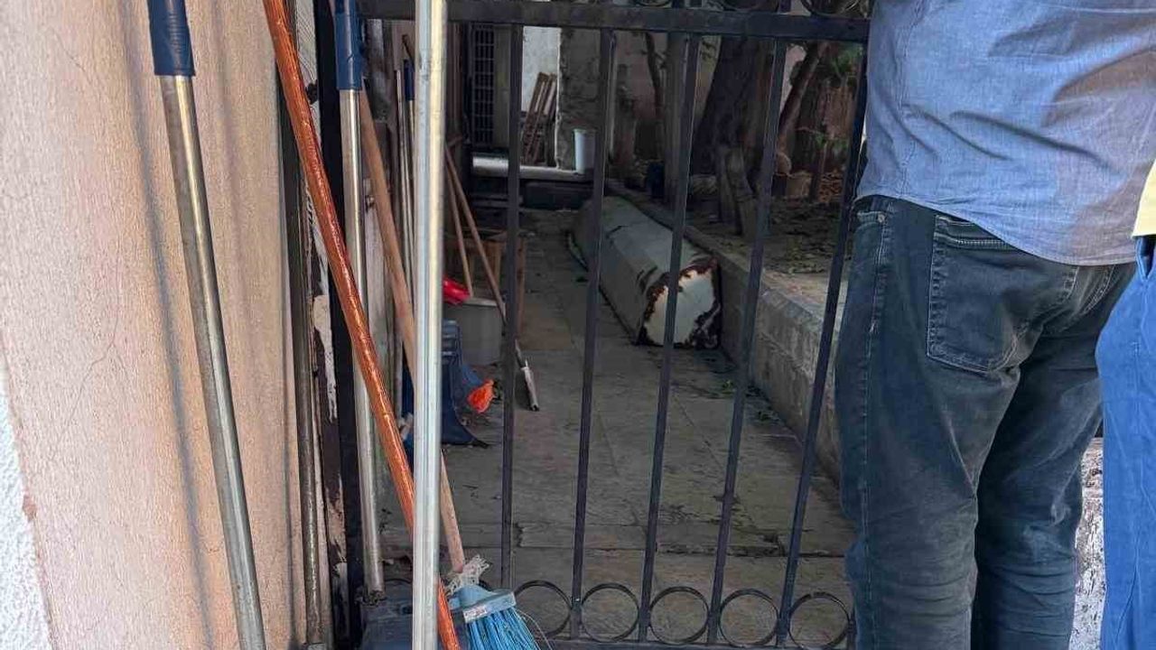 Çorakkapı haziresi bakımsızlık yüzünden manevi mirasını gölgede bırakıyor