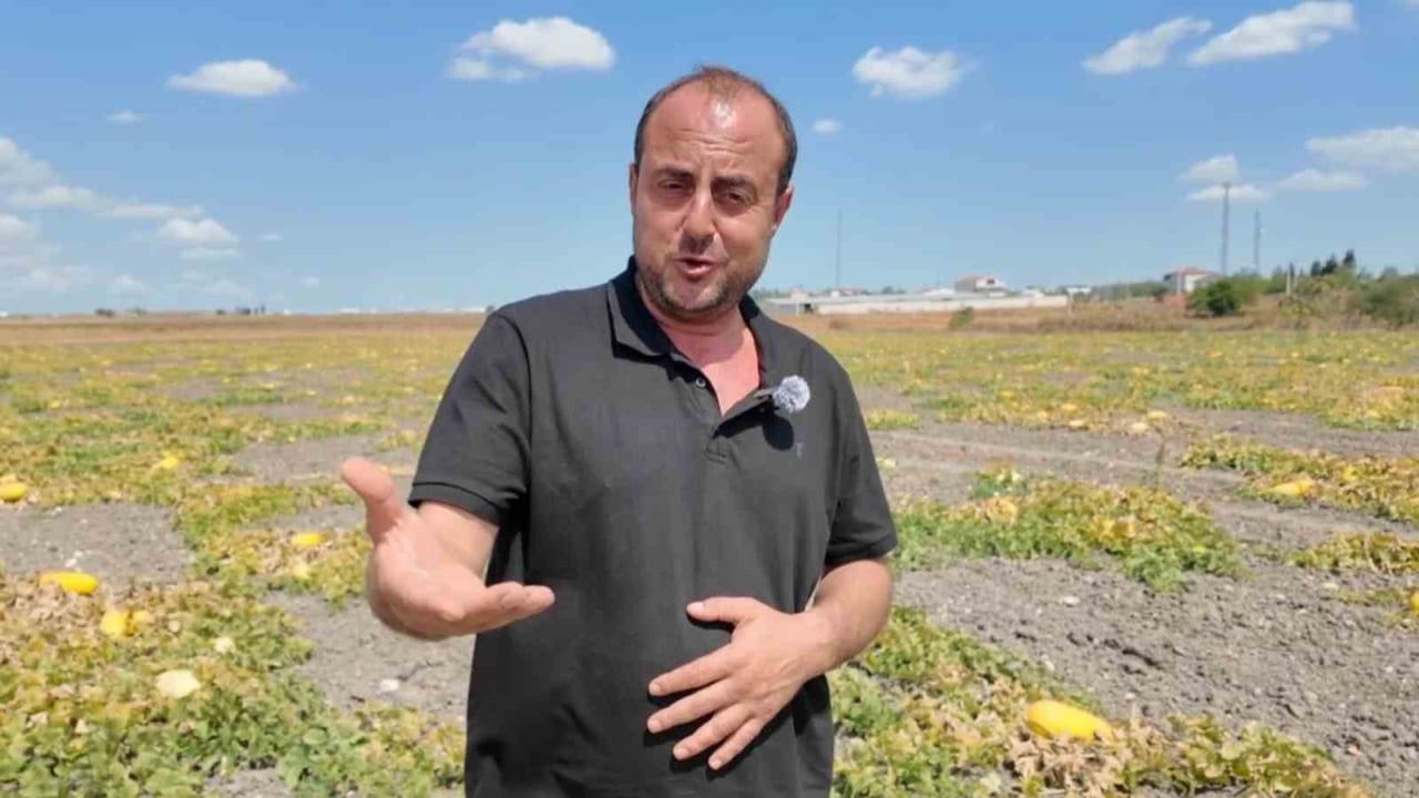 Çorlu'nun coğrafi işaretli lezzeti: bekledikçe şerbetlenen Seymen kavunu