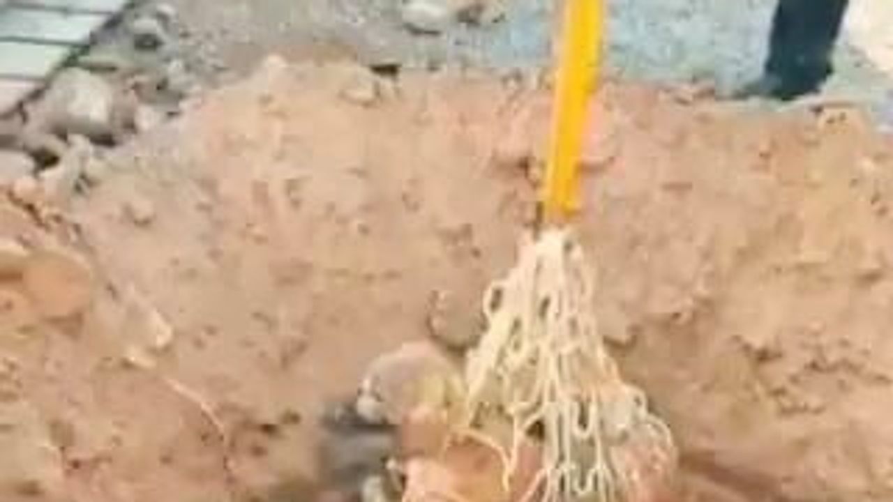 Çukurdaki yalnızlık sona erdi: AFAD halatla köpeği kurtardı