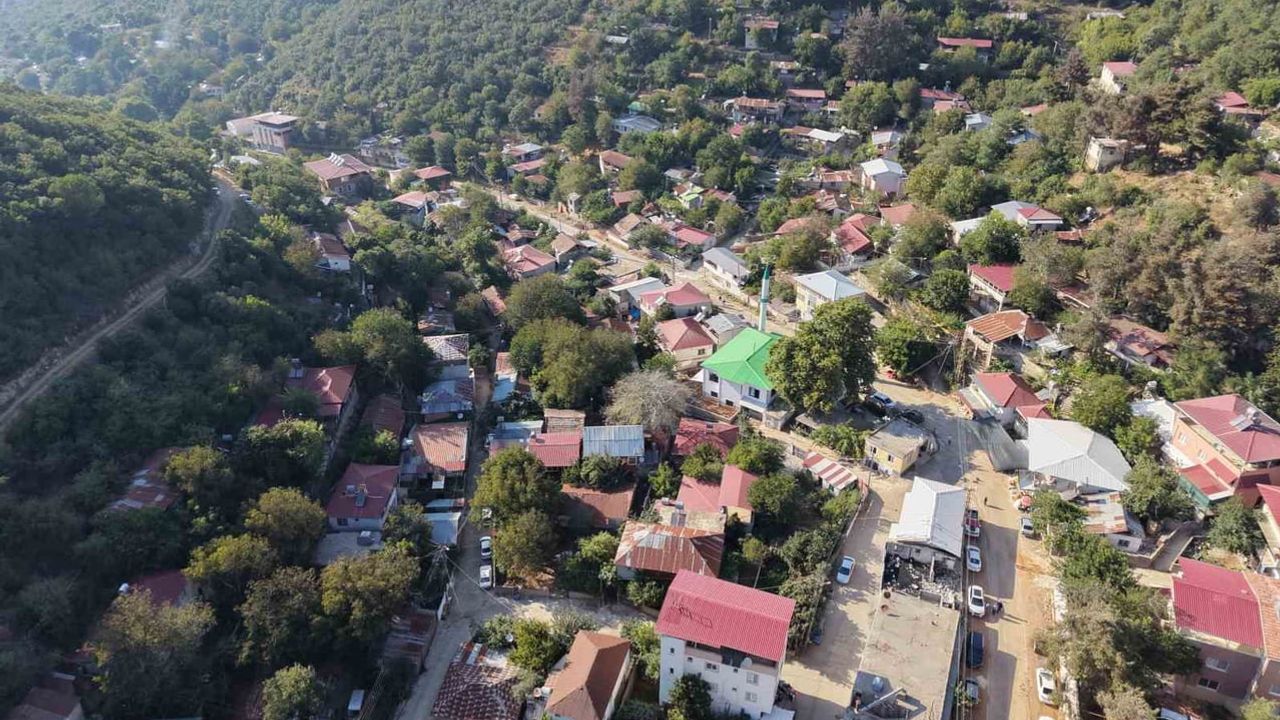 çukurova sıcağından kaçış: almanpınarı yaylası serinliğiyle rağbet görüyor