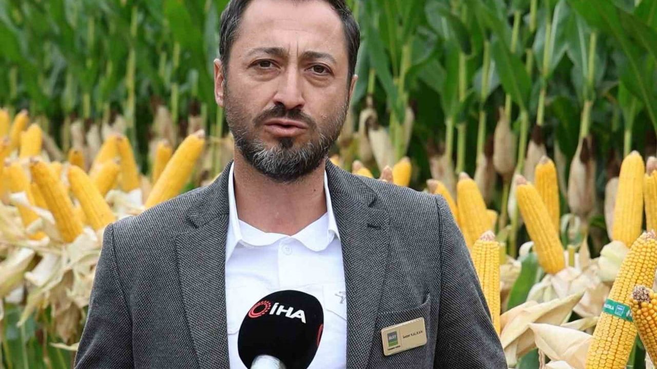 Çulfa’da tarla günü: MAY Tohum’un danelik mısır çeşitleri üreticilerle buluştu