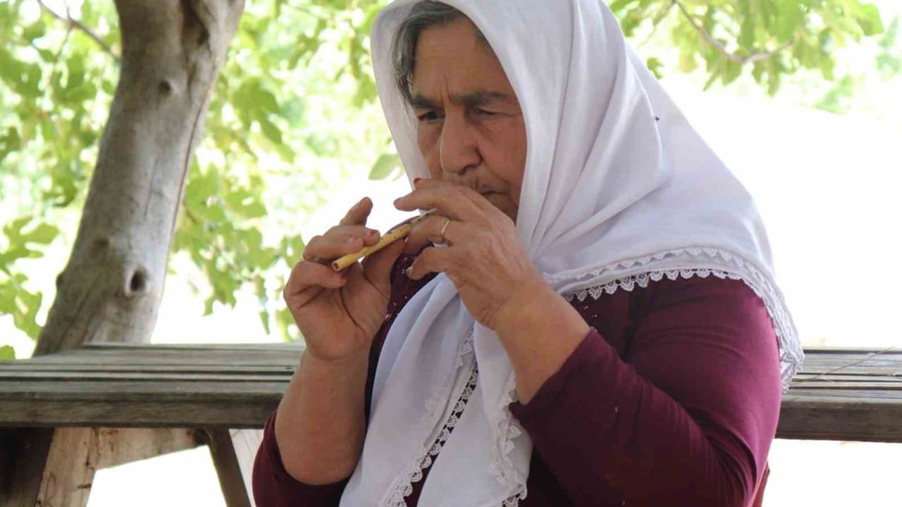 Dağlarda öğrendiği sipsiyi yaşatan Halime Özke ve tehlikeye düşen bir gelenek