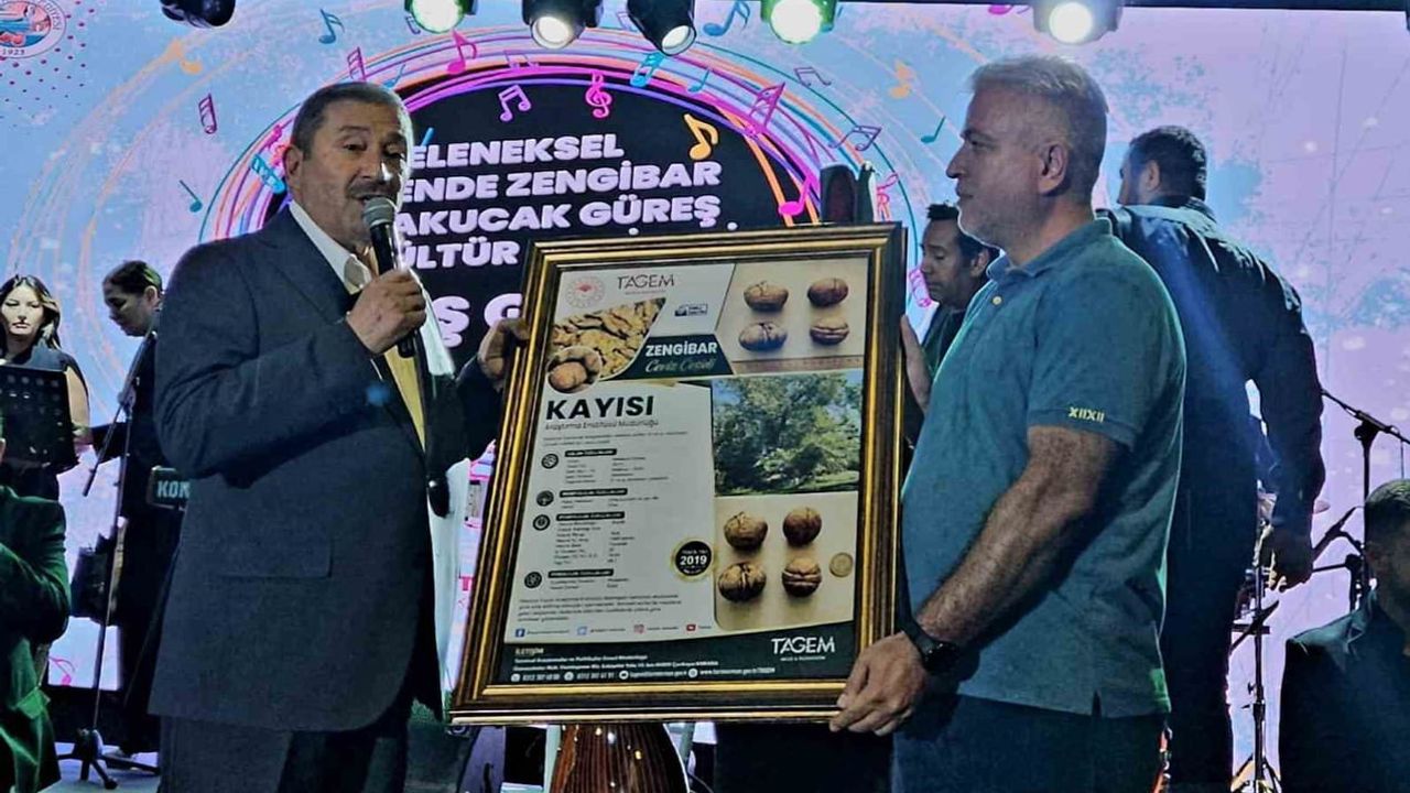 Darende'nin Zengibar cevizi dünya çapındaki Chandler'a fark attı