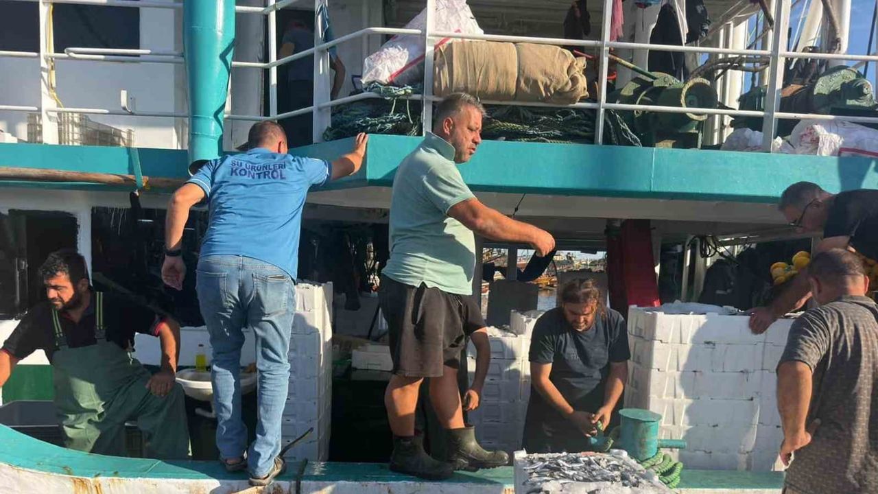Denetimler Didim'de yoğunlaştı: hamsi kotası sezonu başladı