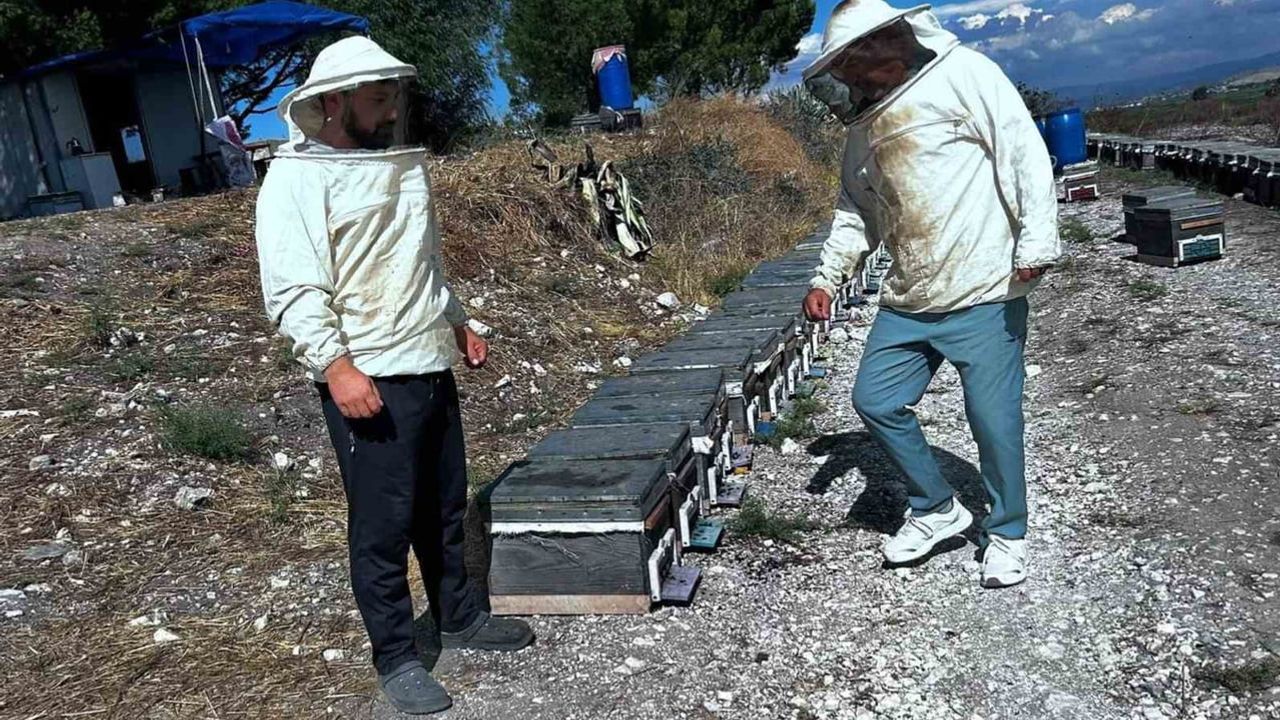 Didim'de arıcılığa yerinde destek: üretim ve sürdürülebilirlik hedefte