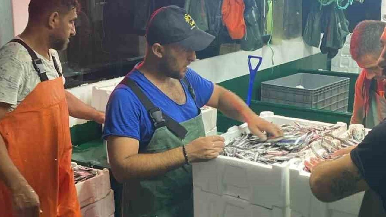 Didim'de gırgır teknelerinde boy ölçümü ve belge denetimi