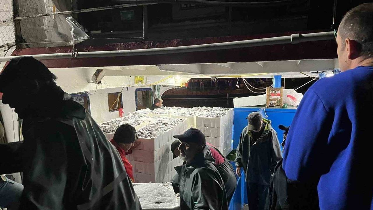 Didim'de sürdürülebilir avcılık için hamsi kotası denetimleri yoğunlaştı