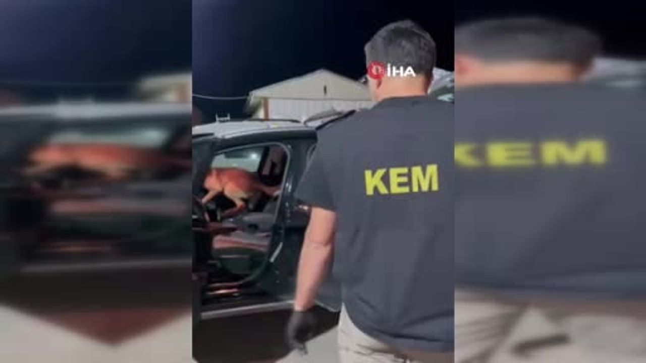 Direksiyonun altına gizlenmiş paket: Muş’ta 102,71 gram metamfetamin ele geçirildi, iki kişi tutuklandı