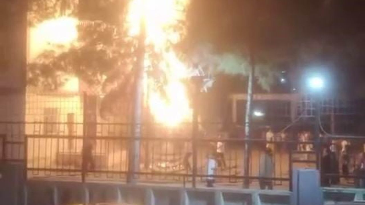 Diyarbakır Kayapınar'da havai fişek ağacı tutuşturdu, yangın büyümeden söndürüldü