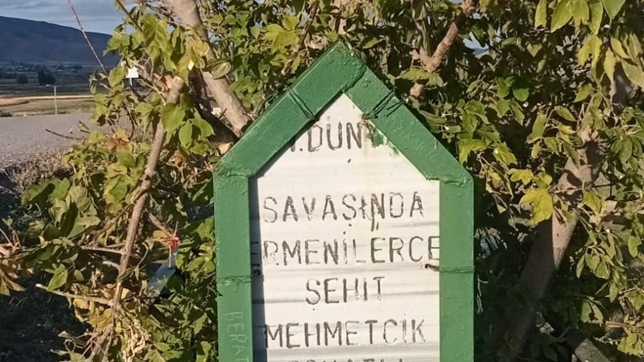 Doğu’da Çanakkale nidası: Erzurum yolundaki unutulmuş şehitlik