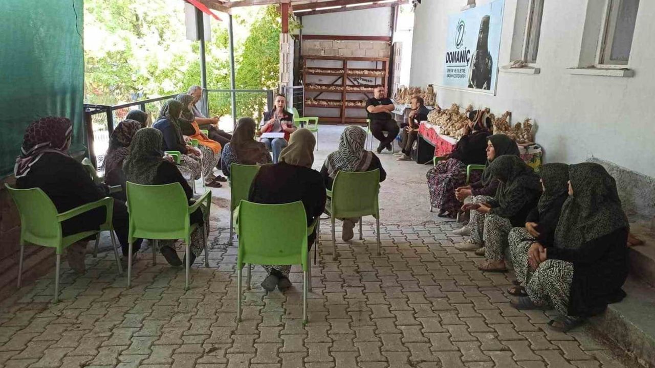 Domaniç sarımsağında organik üretim ve coğrafi işaret yolculuğu