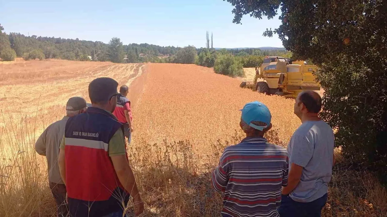 Domaniç'te aspirle tarıma yeni soluk: üreticilere yüzde 75 hibe desteği