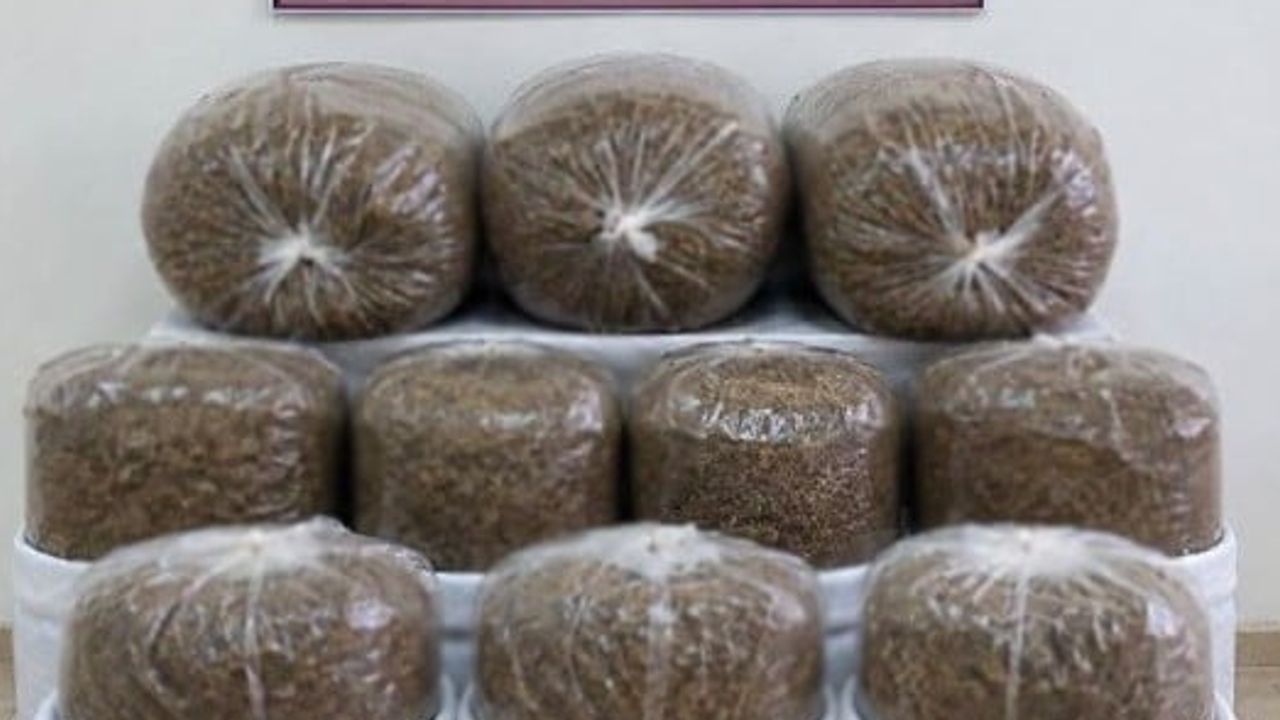 Döşemealtı, Aksu ve Alanya'da jandarmadan tütün kaçakçılığına operasyon: 400 kilogram ele geçirildi
