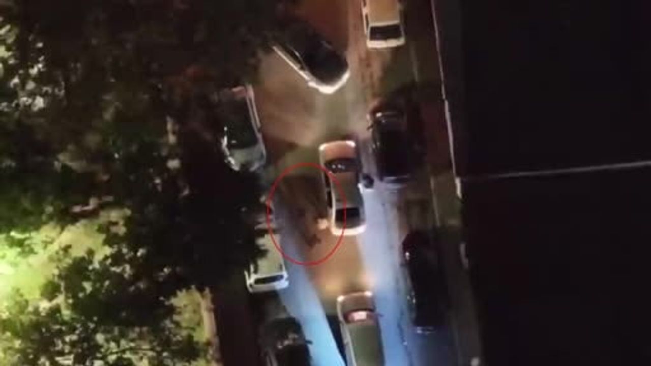 Dronla tespit edilen uyuşturucu satış noktasına operasyon: 3 tutuklama