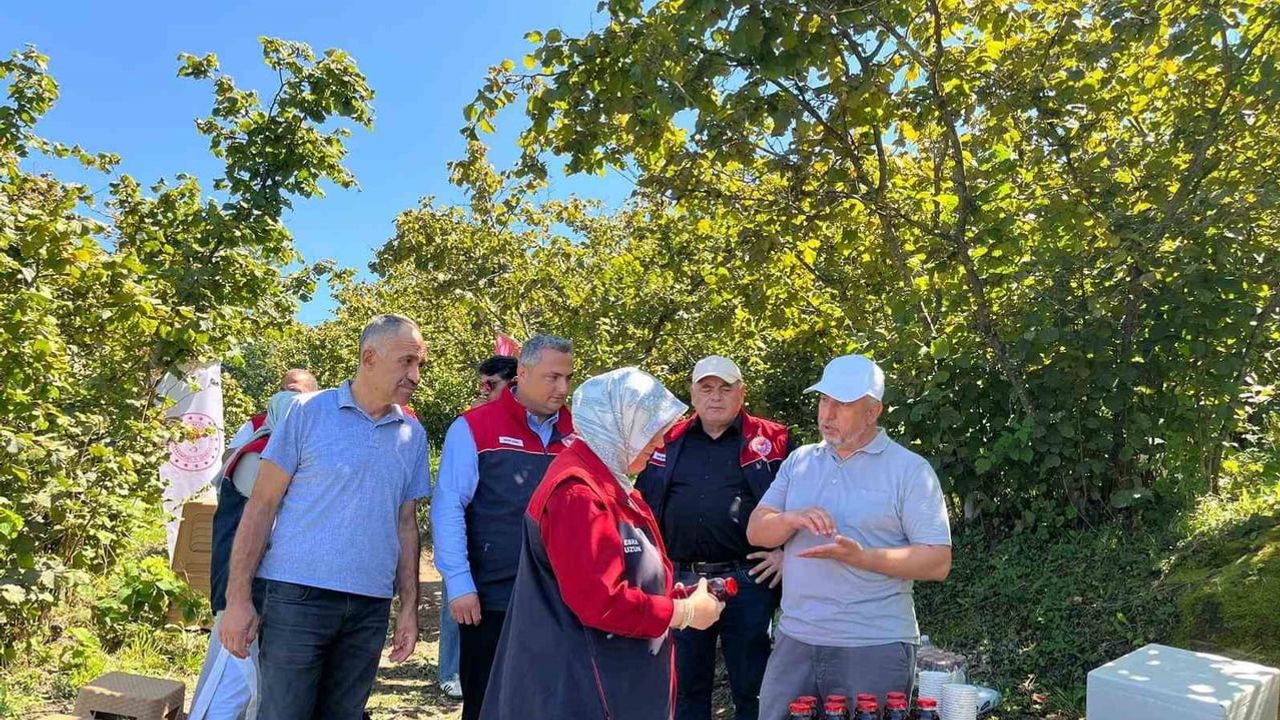 Düzce'de aronya bahçesinden katma değerli üretim hamlesi