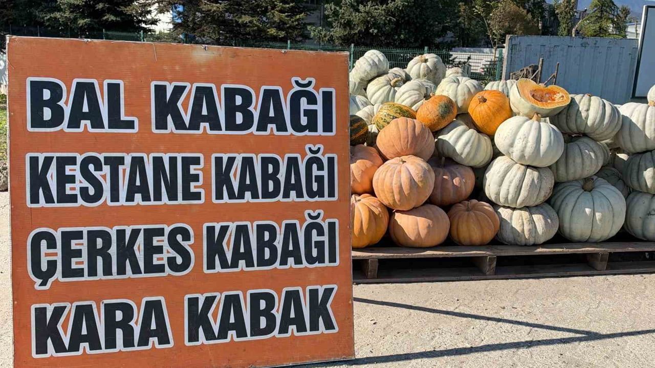 Düzce kabağı sınırları aştı, gurbetçi bagajından Avrupa pazarlarına