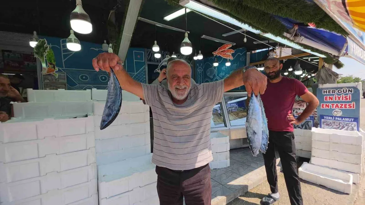 Düzce tezgahlarında palamut bereketi: vatandaş balık için sıraya girdi