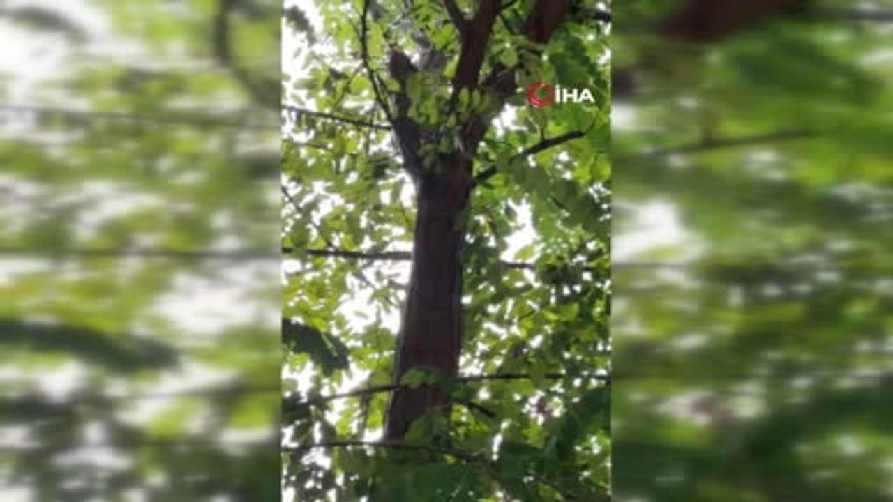 Düziçi'nde düğün salonunda kablo yangını sonrası pano patladı