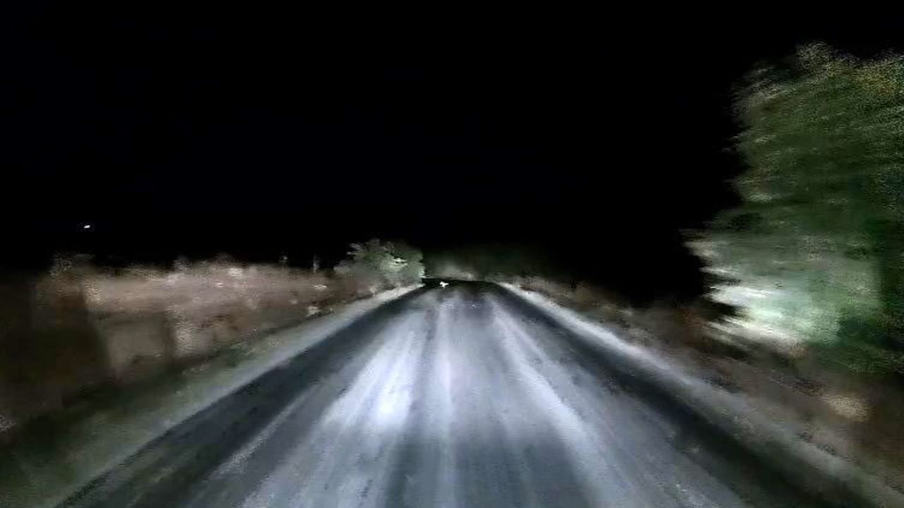 Edirne'de Bosna köyü yolunda farlara yakalanan tilkinin kaçış görüntüleri