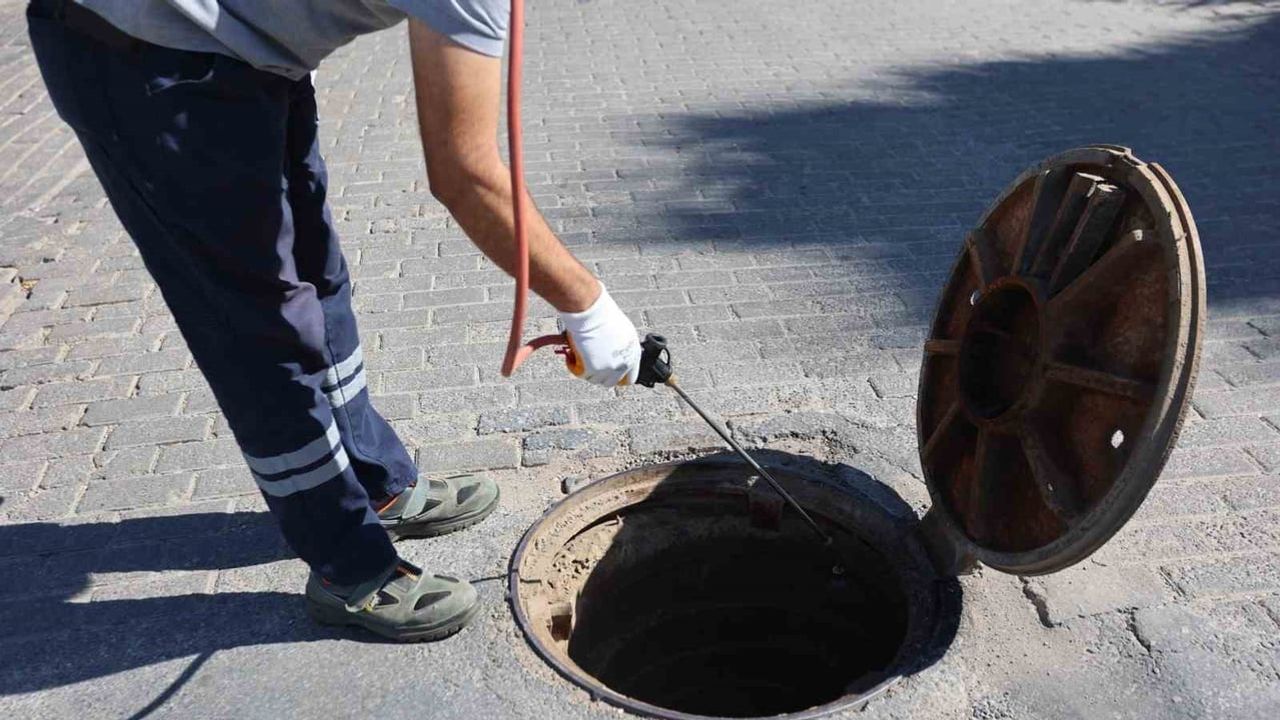 Efeler'de üreme alanlarına odaklanan kapsamlı ilaçlama seferberliği
