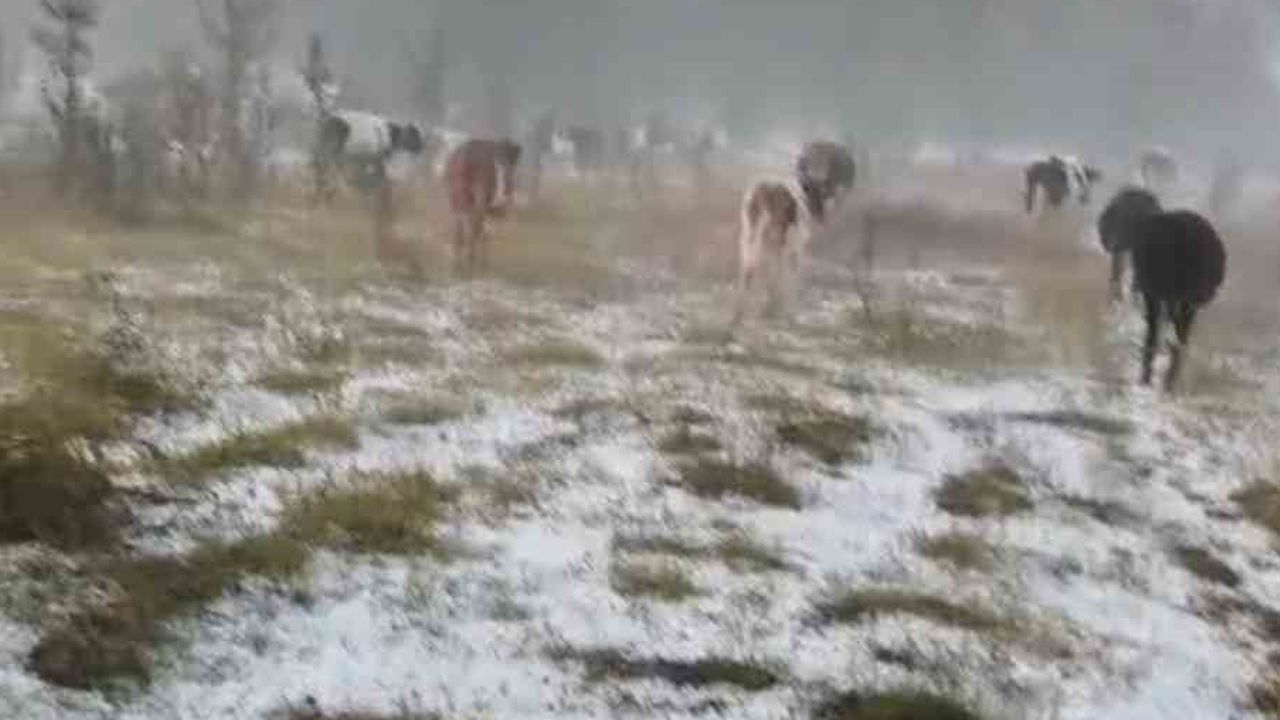 Eflani'de akşam dolusu tarım arazilerini beyaza bürüdü