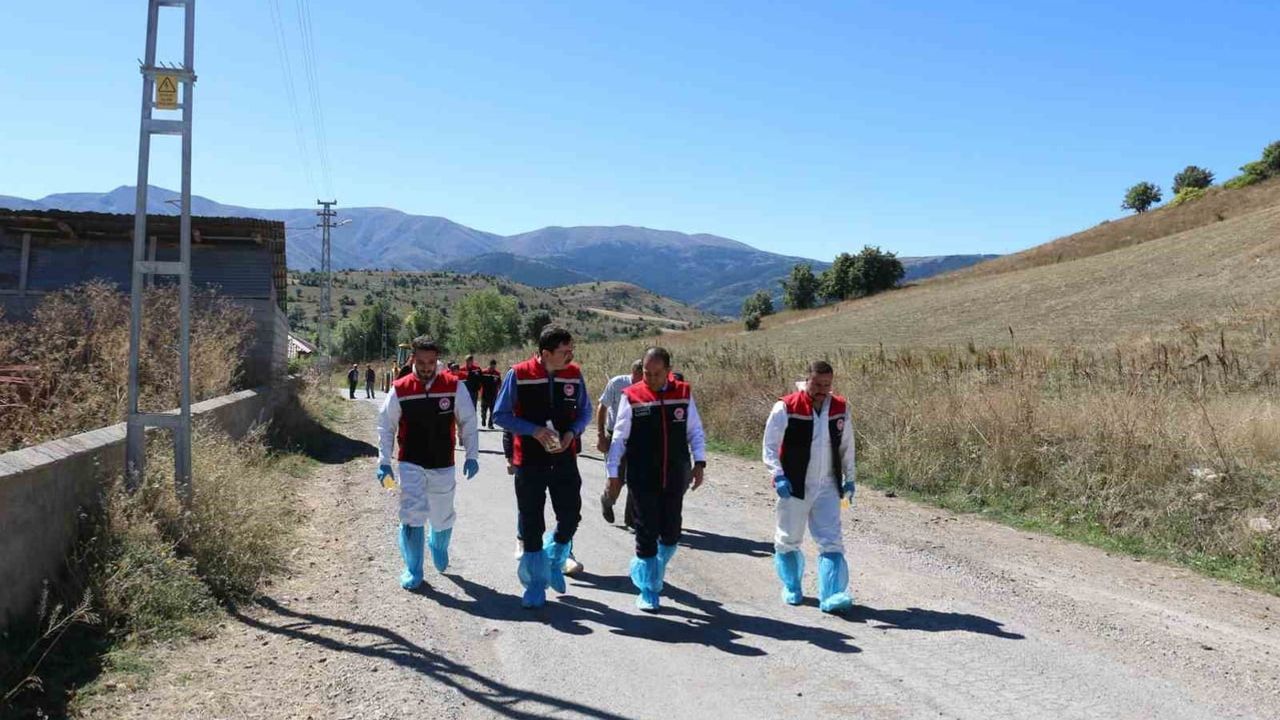 Ekecik'te kene ilaçlamasıyla hayvan sağlığını güçlendirme çalışması başladı