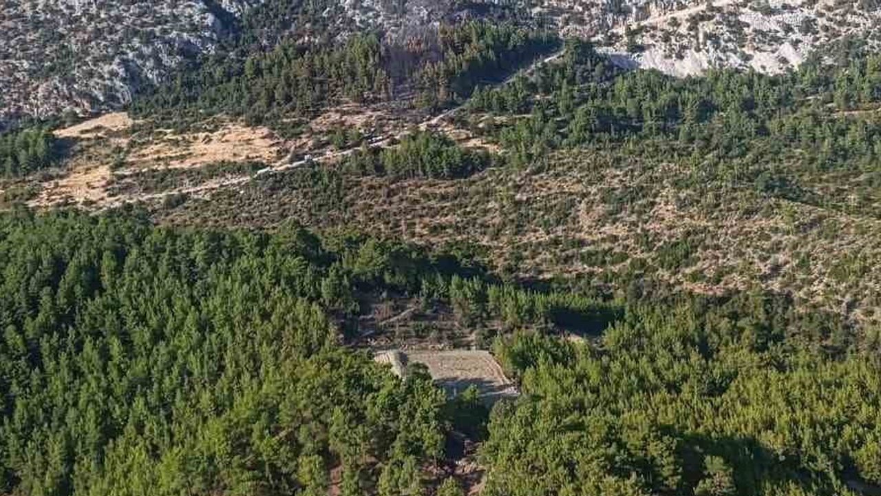 Ekiplerin koordineli müdahalesiyle Güzelsu'daki yangın kontrol altına alındı