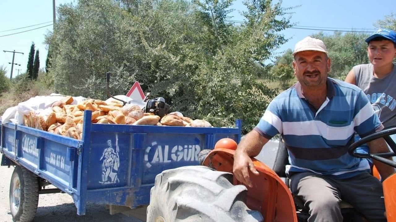 ekmek israfı: Aydın'da insan ekmeği çöpe gitmesin diye hayvan yemine dönüşüyor