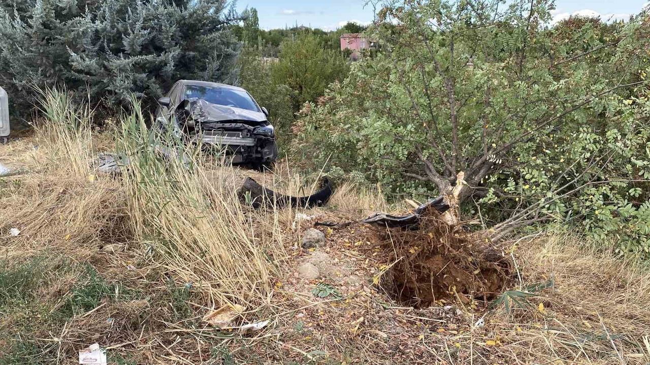 Elazığ'da kontrolden çıkan otomobil ağaca çarptı; dört kişi yaralandı