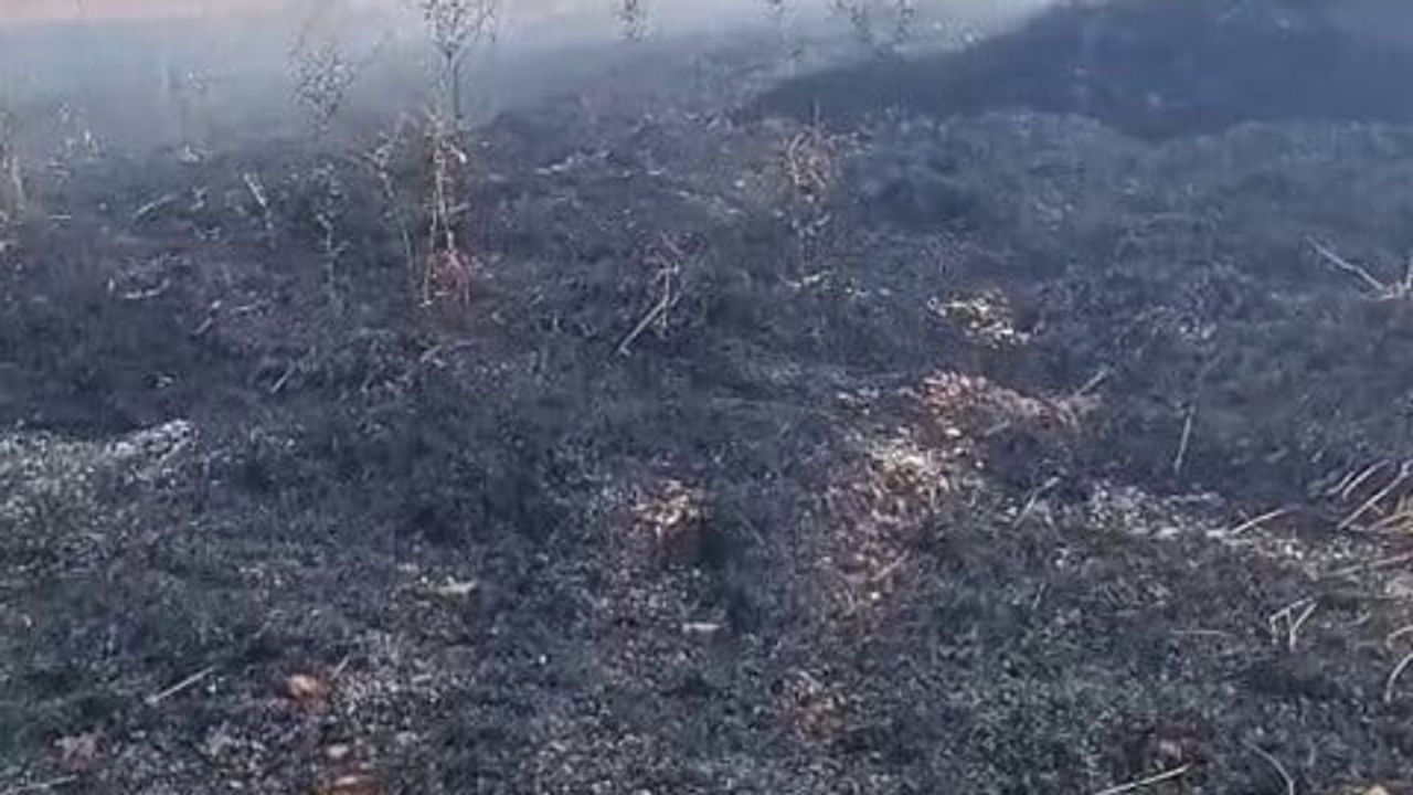elektrik kablosu kopması yakınlardaki otluğu tutuşturdu