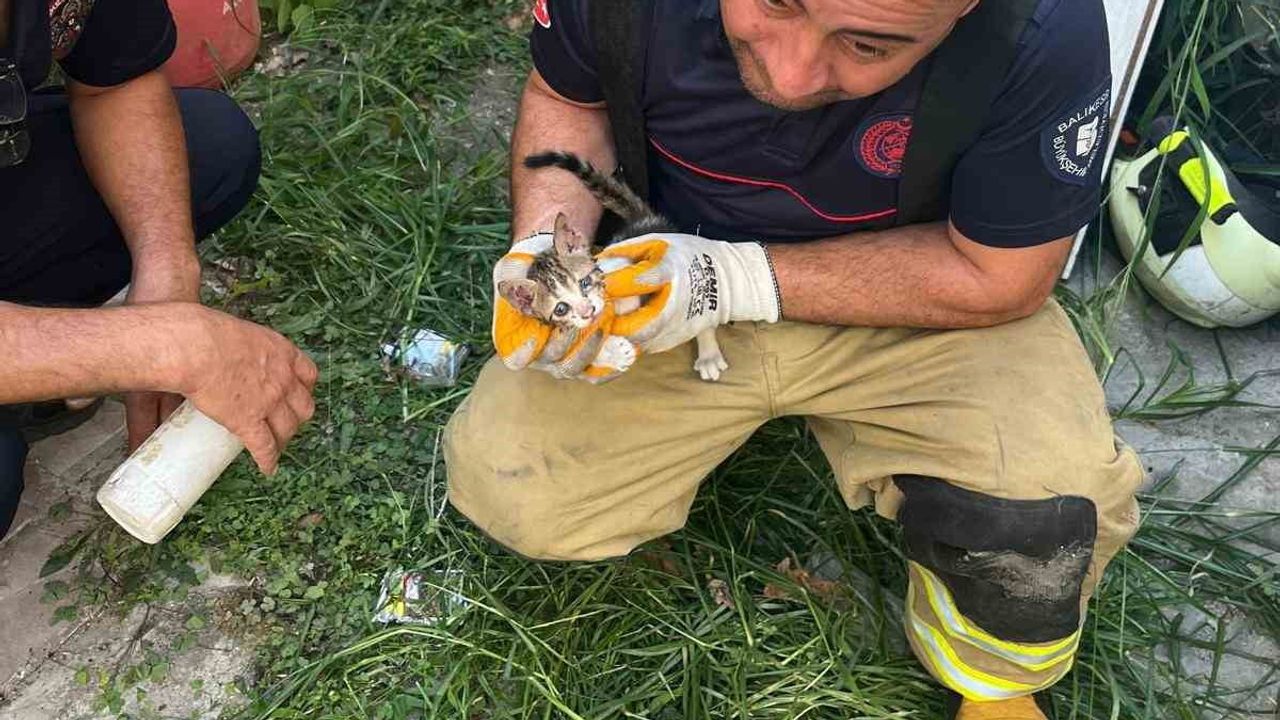 Erdek'te duvar aralığına sıkışan yavru kedi itfaiye ekiplerince kurtarıldı