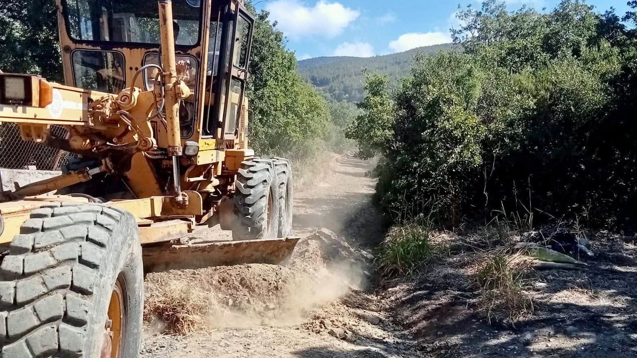 Erdek'te zeytin sezonuna hazırlık: bahçe yollarında bakım