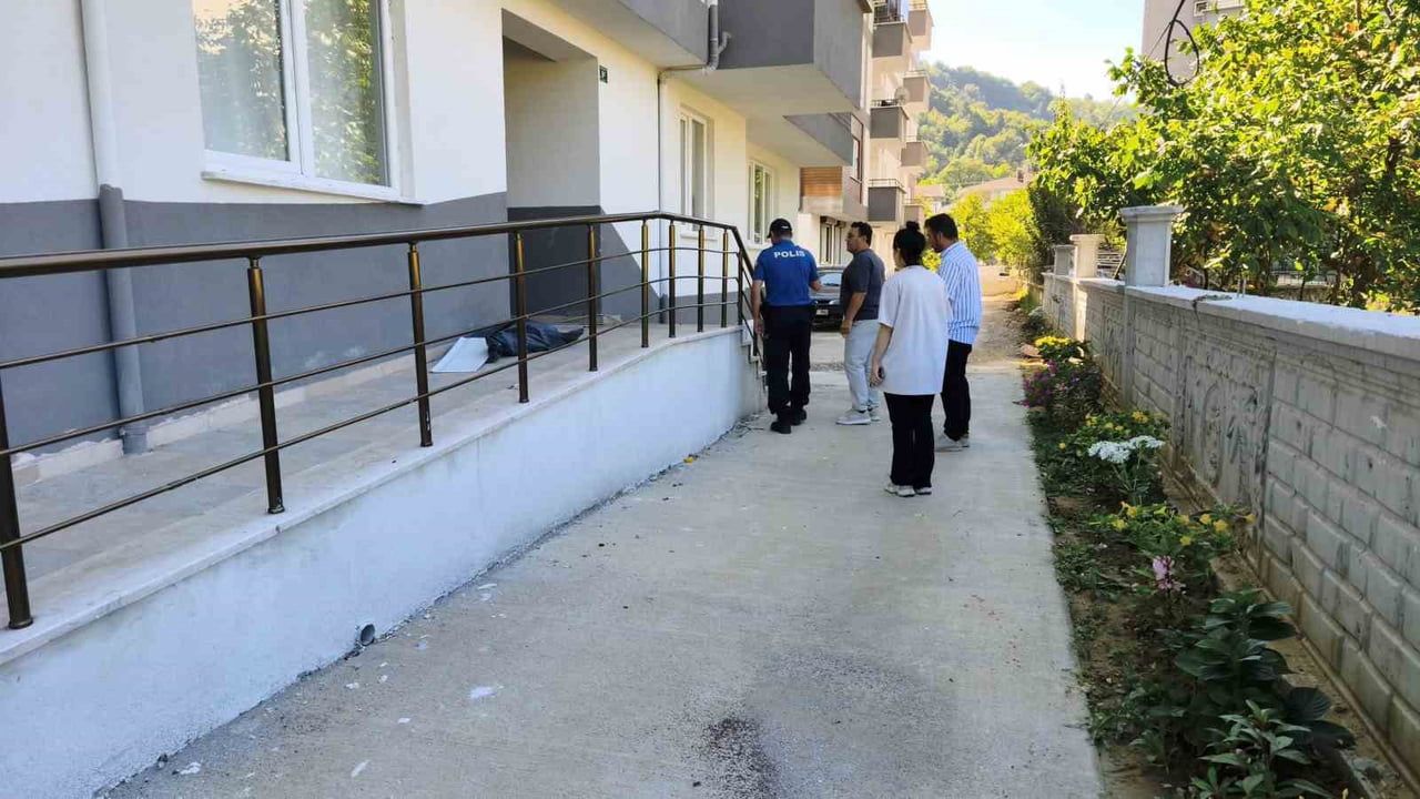 Erfelek'te sokak köpeği silahla öldürüldü, soruşturma başlatıldı