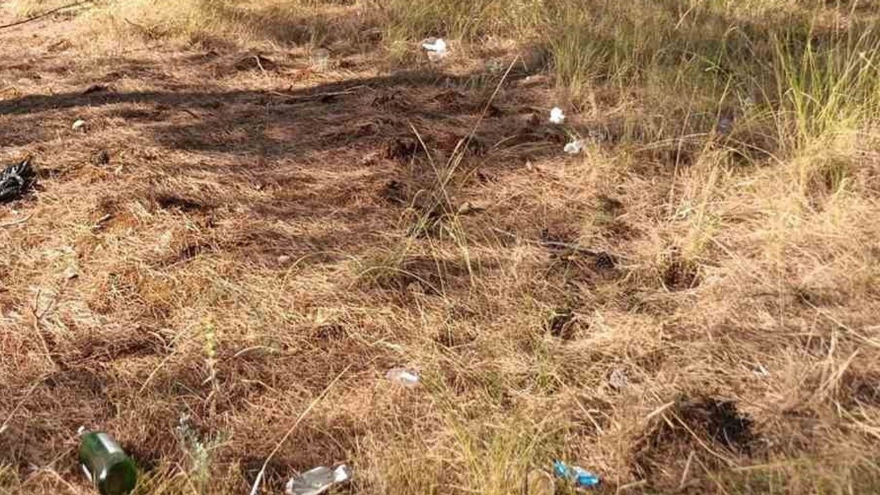 Erken müdahale sayesinde Sancı'daki yangın büyümeden söndürüldü