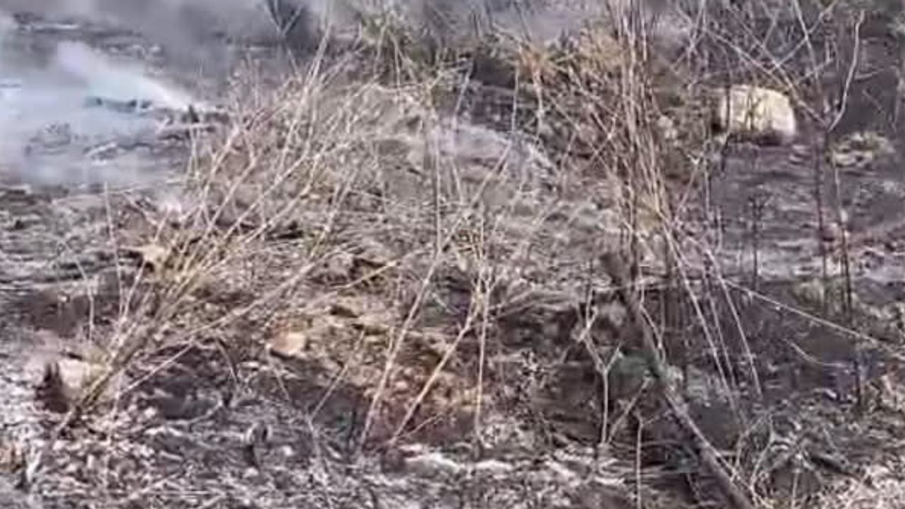 Erzin'de otluk yangını traktörü kullanılmaz hale getirdi