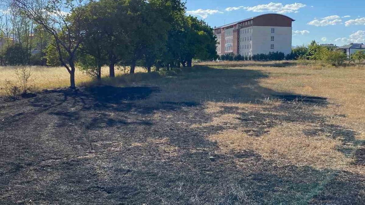 Erzincan'da anız kıvılcımı büyümeden kontrol altına alındı