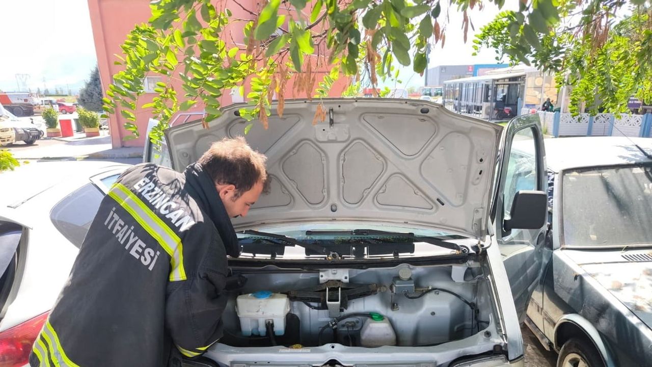 Erzincan'da itfaiyenin motorun içinden çıkardığı yavru kedi